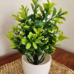 artificial tea leaf plant in white ceramic pot