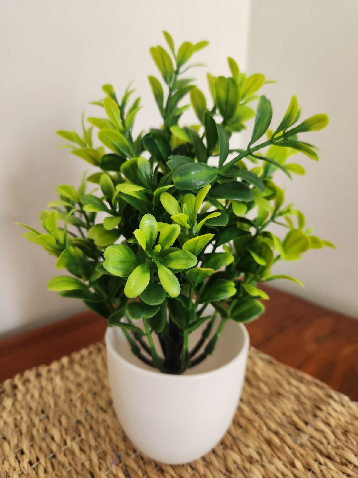 artificial tea leaf plant in white ceramic pot artificial tea leaf plant in white ceramic pot