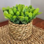 artificial woven rattan small potted plant
