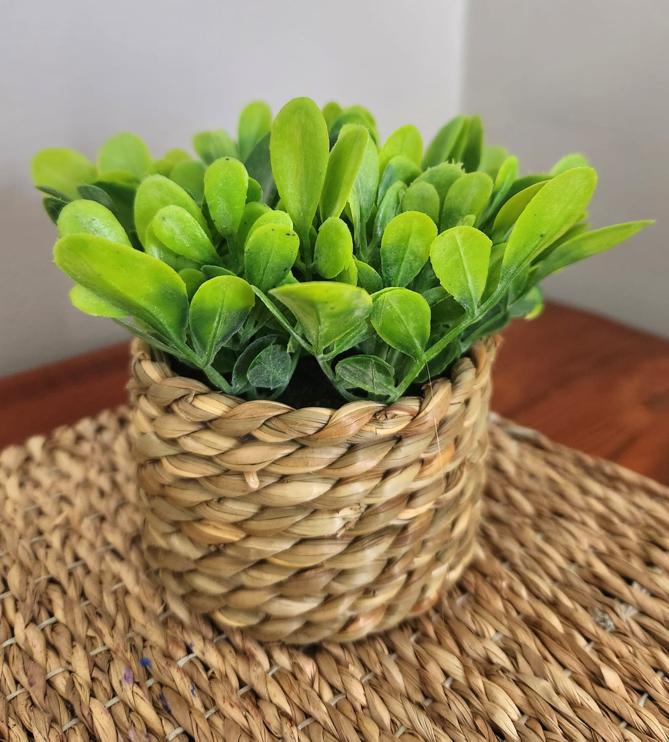 artificial woven rattan small potted plant artificial woven rattan small potted plant