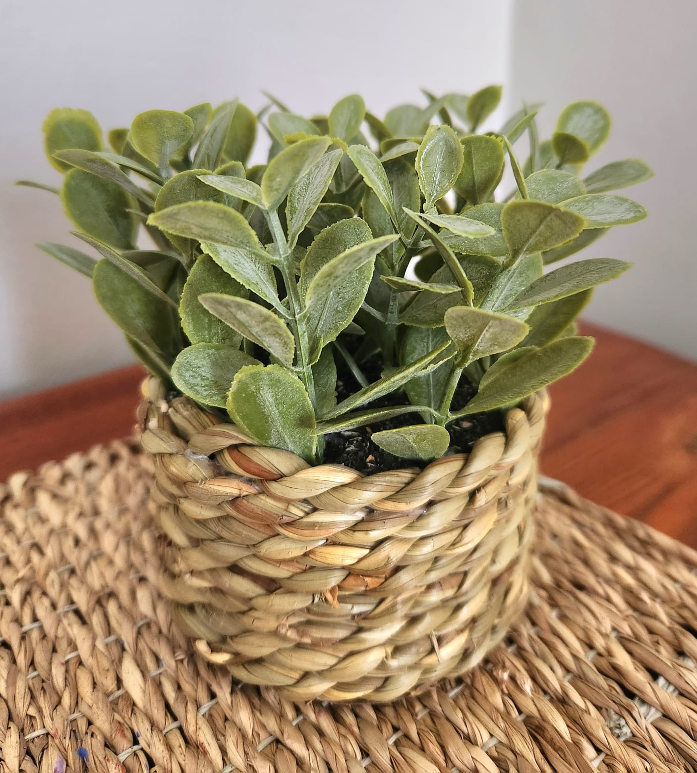 artificial eucalyptus in woven rattan pot artificial eucalyptus in woven rattan pot