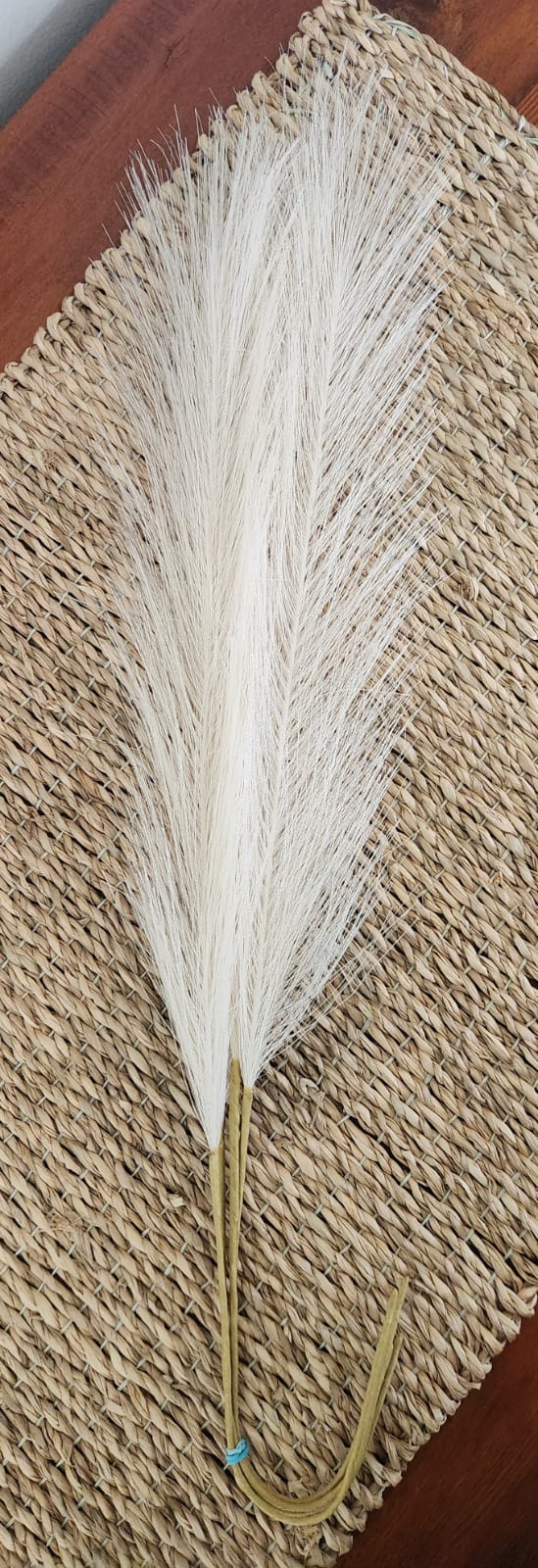soft and fluffy beige faux pampas grass (artificial) 4 pcs soft and fluffy beige faux pampas grass (artificial) 4 pcs